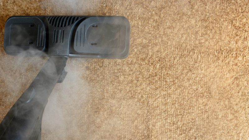 Understanding Our Methods for Commercial Carpet Cleaning