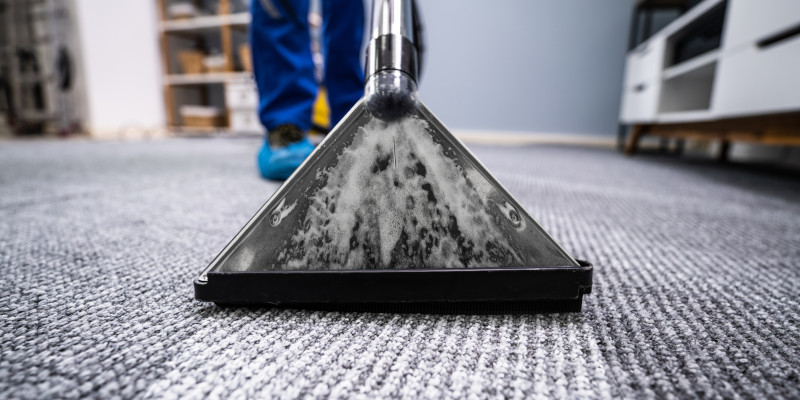 Give a Great Impression with Professional Carpet Cleaning