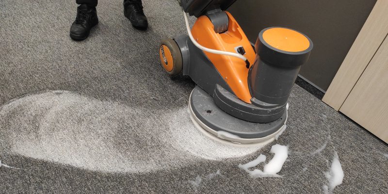 How to Know if You Need Professional Carpet Cleaning